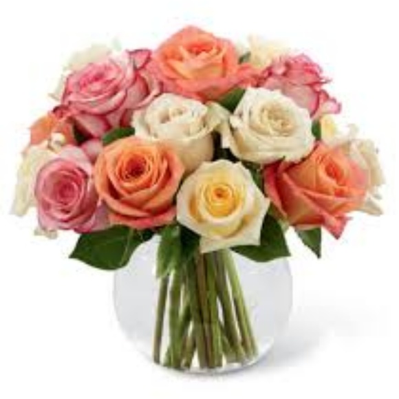 Meet your Posher, Amelia - Picture 1 of 1